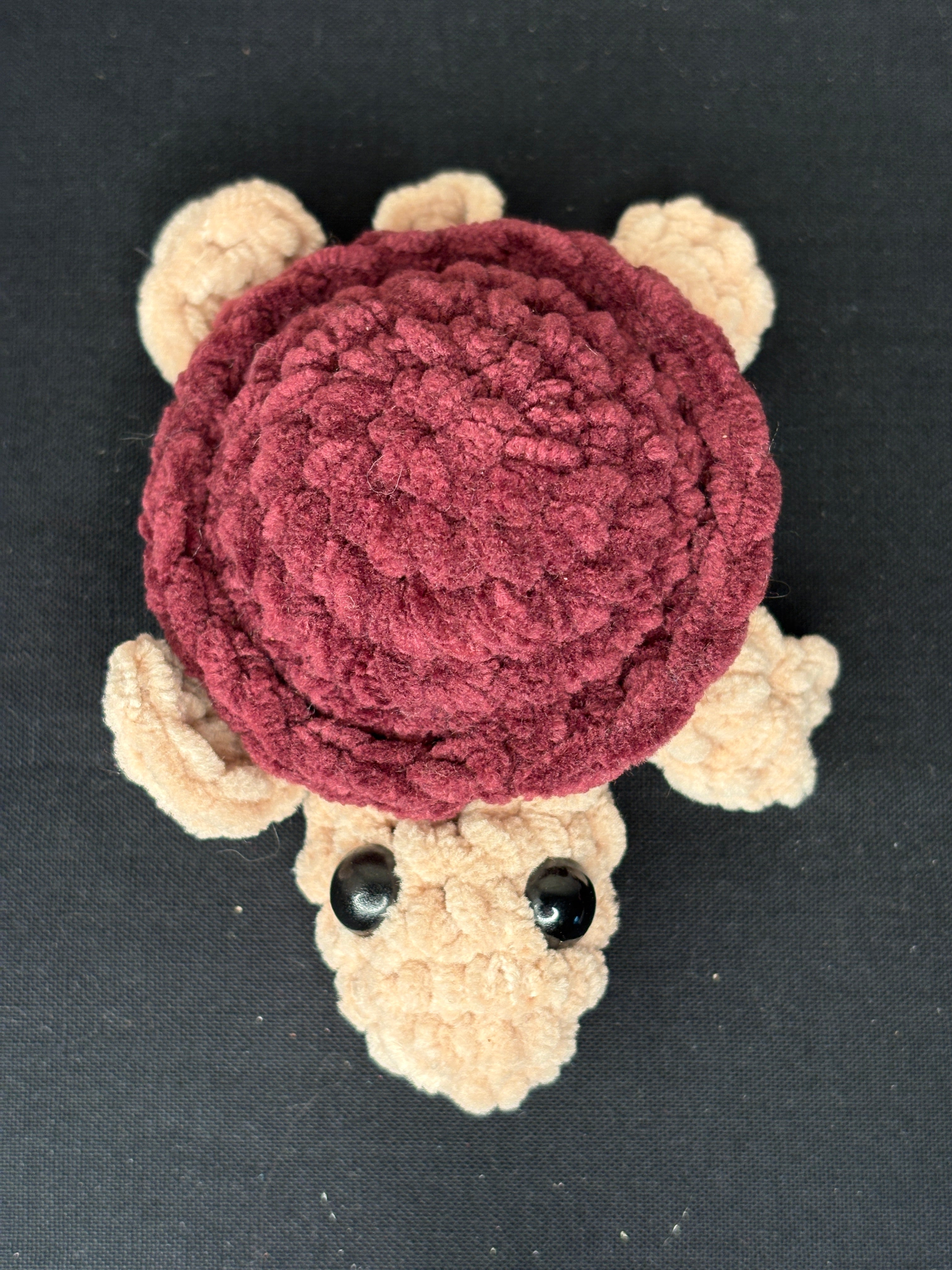 Turtle